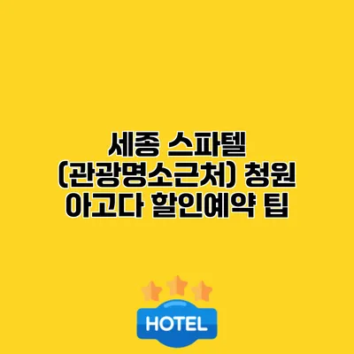 세종 스파텔 (관광명소근처) 청원 아고다 할인예약 팁