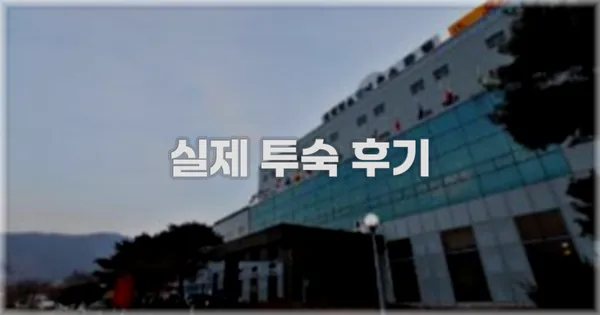 💬 실제 투숙 후기