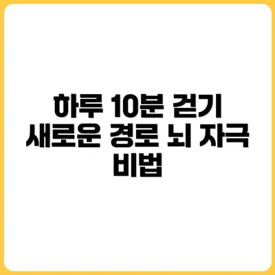 하루 10분, 낯선 경로로 걷기 – 뇌 탐색 본능 자극